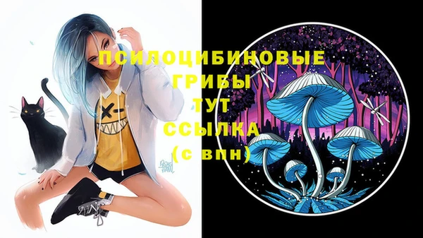 гидропоника Богородск
