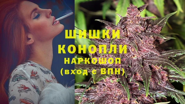 ешки Белокуриха