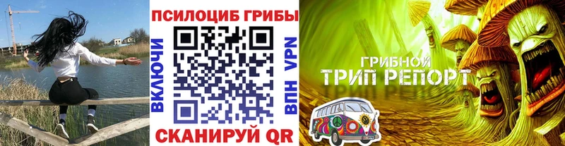 Галлюциногенные грибы Psilocybine cubensis  это наркотические препараты  Киренск 