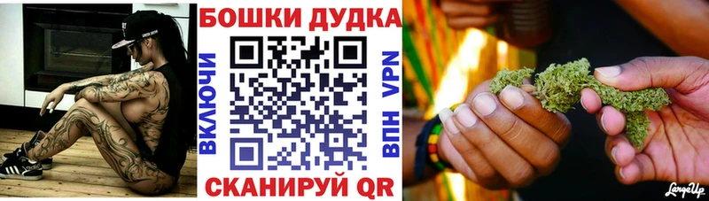 где найти   Киренск  блэк спрут вход  Конопля сатива 
